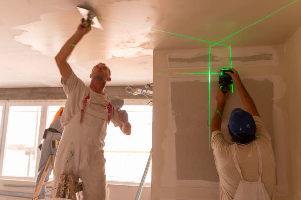 Best Drywall Sanding and Smoothing  in Depew, NY