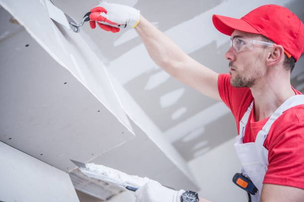 Best Drywall Removal and Disposal  in Depew, NY